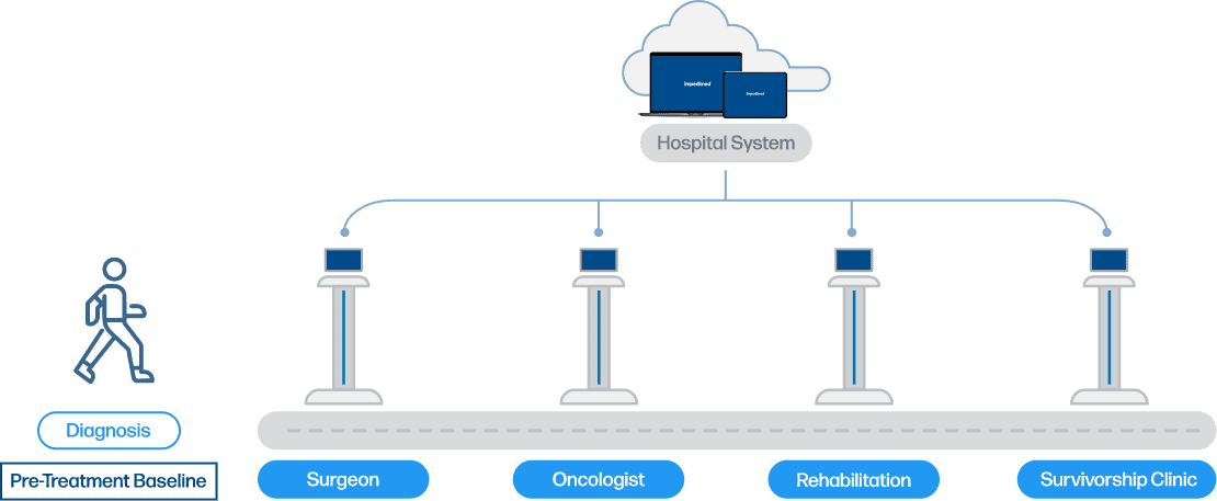 Graphic Showing the Patient Journey